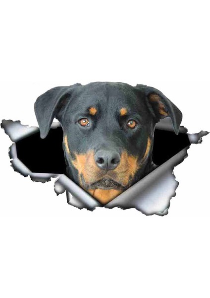 Yansıtıcı Stil Stil I Komik Rottweiler Araba Sticker Yırtık Metal Dekal Yansıtıcı Stickerlar Evcil Köpek Çıkartmaları 3D Rott Araba Stili, 13CM*8CM (Yurt Dışından) indirimleri