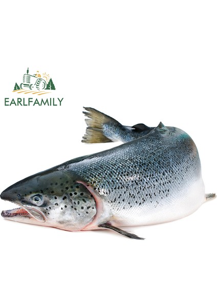 YT-136777-1-13CM Earlfamıly 13CM Gökkuşağı Alabalık Balığı Renkli Araba Sticker Çizilmeye Dayanıklı Araba Çıkartmaları Su Geçirmez Buzdolabı Araba Süslemesi Jdm Suv Için (Yurt Dışından)