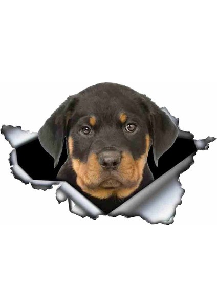 Yansıtıcı Stil J-Stil Komik Rottweiler Araba Sticker Yırtık Metal Dekal Yansıtıcı Stickerlar Evcil Köpek Çıkartmaları 3D Rott Araba Stili, 13CM*8CM (Yurt Dışından)