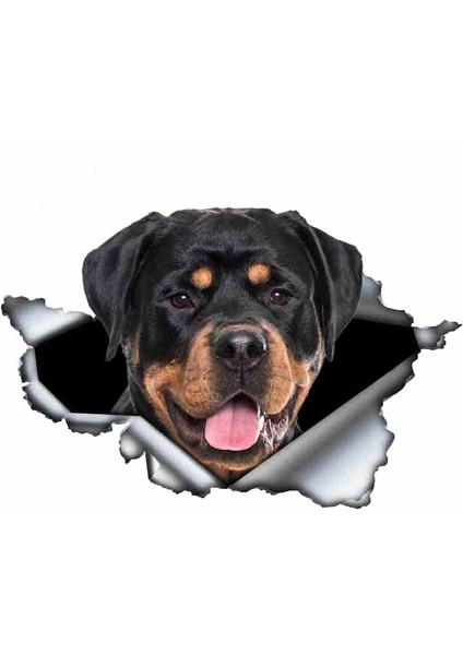 Yansıtıcı Stil J-Stil Komik Rottweiler Araba Sticker Yırtık Metal Dekal Yansıtıcı Stickerlar Evcil Köpek Çıkartmaları 3D Rott Araba Stili, 13CM*8CM (Yurt Dışından) fiyatları