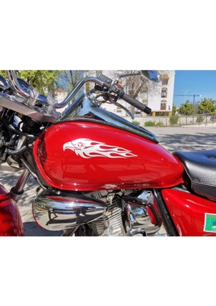 Beyaz A0NE Özel Araba Stickerları Kendin Yap Seti Kartal Alev Desen Yansıtıcı Scooter Bisiklet Cool Sticker Logo Yansıtıcı Stil Amac: (Yurt Dışından) fırsatları