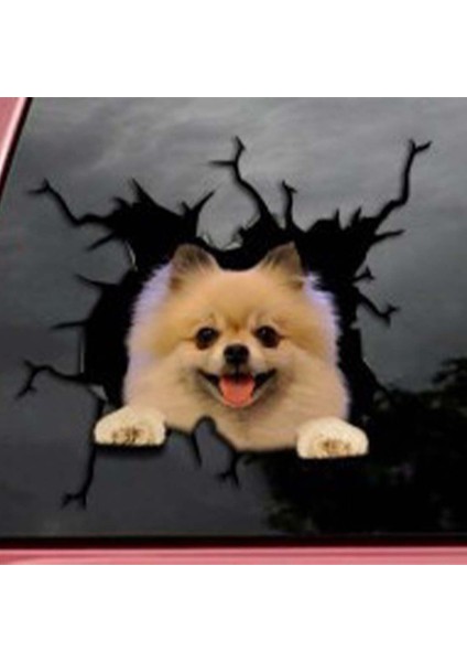 Stil1 1pc Oto Arka Cam Sticker Yavru Kırık Cam Sticker Elektrostatik 3D Simülasyon Fransız Bulldog Araba Sticker'ları (Yurt Dışından) indirimleri