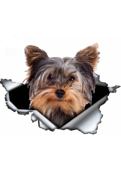 D Tarzı 13CM x 12.6cm Yorkshire Terrier Vinil Kişilik Sticker Yırtık Metal Etiket Hayvan Araba Sticker Pencere Tampon Evcil Köpek Araba Stil (Yurt Dışından) fiyatları