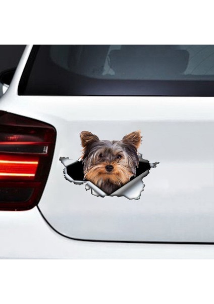 D Tarzı 13CM x 12.6cm Yorkshire Terrier Vinil Kişilik Sticker Yırtık Metal Etiket Hayvan Araba Sticker Pencere Tampon Evcil Köpek Araba Stil (Yurt Dışından) modelleri