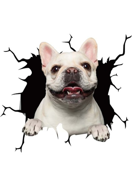 Stil5 1pc Oto Arka Cam Sticker Yavru Kırık Cam Sticker Elektrostatik 3D Simülasyon Fransız Bulldog Araba Sticker'ları (Yurt Dışından)