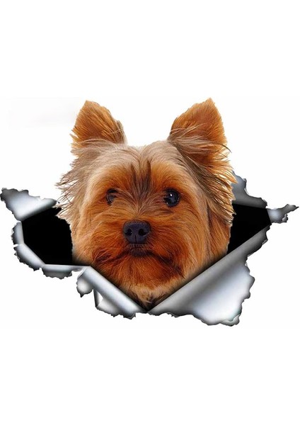 B Tarzı 13CM x 12.6cm Yorkshire Terrier Vinil Kişilik Sticker Yırtık Metal Etiket Hayvan Araba Sticker Pencere Tampon Evcil Köpek Araba Stil (Yurt Dışından)
