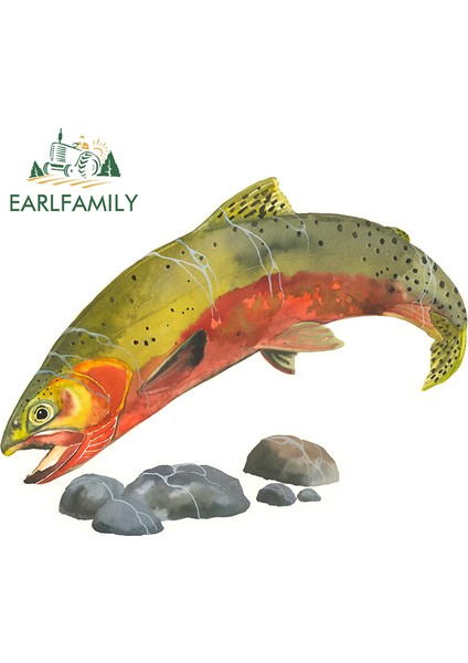YT-139594-13CM Earlfamıly 13CM Gökkuşağı Alabalık Balığı Renkli Araba Sticker Çizilmeye Dayanıklı Araba Çıkartmaları Su Geçirmez Buzdolabı Araba Süslemesi Jdm Suv Için (Yurt Dışından)