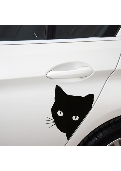 Beyaz Kedi Yüzü Bakan Araba Sticker Çıkartmaları Evcil Hayvan Kedi Motosiklet Dekoratif Çıkartmalar 12*15CM Araba Cam Çıkartmaları Audi A3 Için Araba Sticker (Yurt Dışından) indirimleri