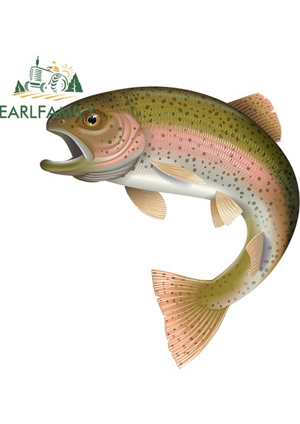 YT-139590-13CM Earlfamıly 13CM Gökkuşağı Alabalık Balığı Renkli Araba Sticker Çizilmeye Dayanıklı Araba Çıkartmaları Su Geçirmez Buzdolabı Araba Süslemesi Jdm Suv Için (Yurt Dışından)