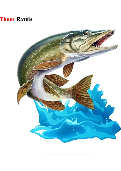 1 Parça Tarzı Uzunluk 20CM Üç Ratels FC68 Serin Atlayan Turna ve Sazan 3D Balık Duvar Sanatı Sticker Çıkartma Araba Bisiklet Motosiklet Oda Için (Yurt Dışından) fiyatları