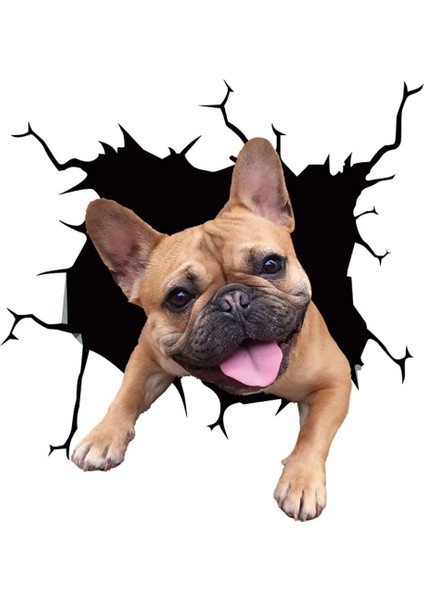 Stil3 1pc Oto Arka Cam Sticker Yavru Kırık Cam Sticker Elektrostatik 3D Simülasyon Fransız Bulldog Araba Sticker'ları (Yurt Dışından)