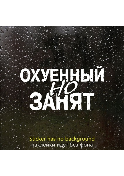 1 Parti (1 Adet) Tarzı 21X40 cm Die-Kesim Vinil Sticker Yoğun Araç Sticker Su Geçirmez Oto Dekorasyonları Arka Cama Gövde Tampon (Yurt Dışından)