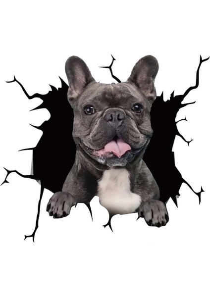 STIL18 1pc Oto Arka Cam Sticker Yavru Kırık Cam Sticker Elektrostatik 3D Simülasyon Fransız Bulldog Araba Sticker'ları (Yurt Dışından) fırsatları