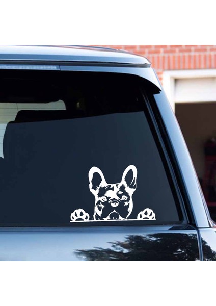 2 Adet Araba Sticker Patiler Yukarı Fransız Bulldog Frenchie Bully Köpek Süsleme Vinil Araba Sticker Yansıtıcı Lazer 3D Araba Sticker Araba Stil Amac: (Yurt Dışından)