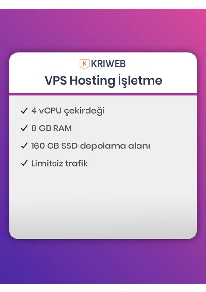 Vps Hosting Işletme