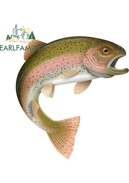 YT-139590-1-13CM Earlfamıly 13CM Gökkuşağı Alabalık Balığı Renkli Araba Sticker Çizilmeye Dayanıklı Araba Çıkartmaları Su Geçirmez Buzdolabı Araba Süslemesi Jdm Suv Için (Yurt Dışından)