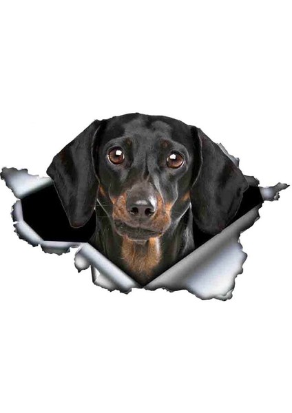 Yansıtıcı Stil D Tarzı 13CM x 9cm 3D Kahverengi Dachshund Hayvan Araba Sticker Yırtık Metal Etiket Yansıtıcı Sticker Su Geçirmez Araba Tasarımı Evcil Hayvan Köpek Etiketler (Yurt Dışından)