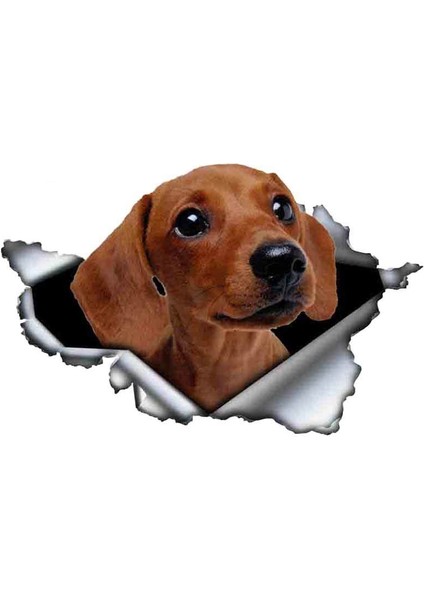 Yansıtıcı Stil D Tarzı 13CM x 9cm 3D Kahverengi Dachshund Hayvan Araba Sticker Yırtık Metal Etiket Yansıtıcı Sticker Su Geçirmez Araba Tasarımı Evcil Hayvan Köpek Etiketler (Yurt Dışından) fiyatları