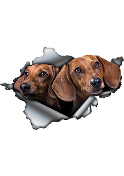 Yansıtıcı Stil Stil A 13CM x 9cm 3D Kahverengi Dachshund Hayvan Araba Sticker Yırtık Metal Etiket Yansıtıcı Sticker Su Geçirmez Araba Tasarımı Evcil Hayvan Köpek Etiketler (Yurt Dışından)