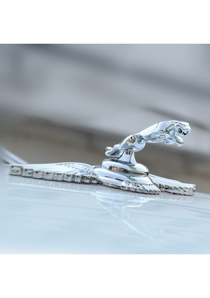 E Jaguar Xf Xj Xe Xk Xkr Xfl Xjs E Pace F Pace S Type x Type Ftype Ön Kaput Sticker Modifikasyonu - Krom Kaput Amblemi (Yurt Dışından)