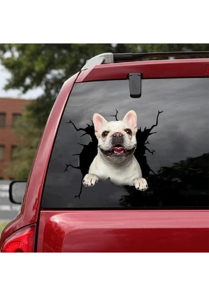 No.5 Boyutu Yeni Araba Sticker Köpek Sever Araba Stil Aksesuarları Otomatik Etiket Evcil Köpek Etiket Pencere Sticker Dekorasyon Araba Dekor (Yurt Dışından)