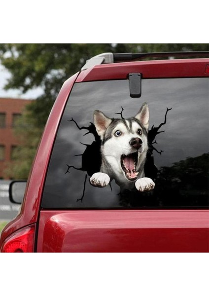 No.5 Boyutu Yeni Araba Sticker Köpek Sever Araba Stil Aksesuarları Otomatik Etiket Evcil Köpek Etiket Pencere Sticker Dekorasyon Araba Dekor (Yurt Dışından)