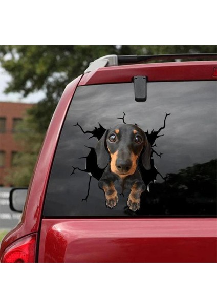 No.5 Boyutu Yeni Araba Sticker Köpek Sever Araba Stil Aksesuarları Otomatik Etiket Evcil Köpek Etiket Pencere Sticker Dekorasyon Araba Dekor (Yurt Dışından)
