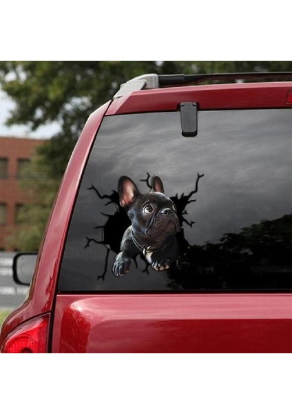 No.11 Boyutu Yeni Araba Sticker Köpek Sever Araba Stil Aksesuarları Otomatik Etiket Evcil Köpek Etiket Pencere Sticker Dekorasyon Araba Dekor (Yurt Dışından)