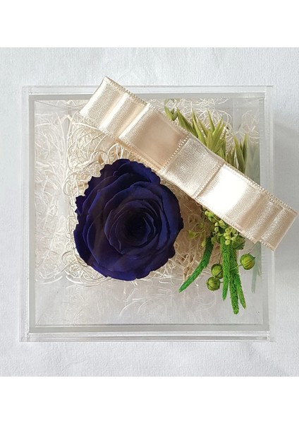 Pleksi Kapaklı Mavi Solmayan Gül (Xl) & Sevgiliye, Anneye Özel Hediye & Ekvator Gülü Cicek Dekor modelleri