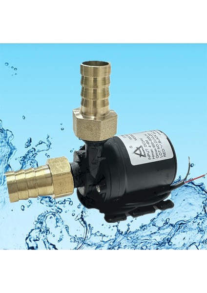 12V Kablo Hızlı Bağlantı DC12V 24V Su Pompaları Kaldırma Lh Güneşsiz Fırçasız Motor Su Dolaşımı Su Pompası Seramik Mil Ultra Sessiz Daldırma (Yurt Dışından) indirimleri