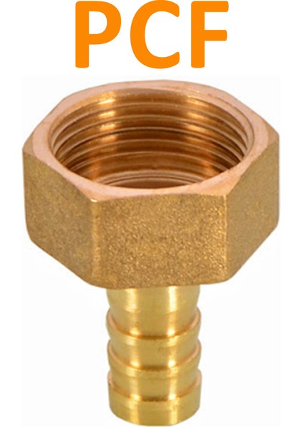 Kadın Tarzı 14 mm Diken Pc Pcf Pl Plf Pagoda Bağlantı Hortum Bağlantı Hortum Kuyruğu Dişi Bsp Brae Fitting - Türkçe E-Ticaret Başlığı (Yurt Dışından)