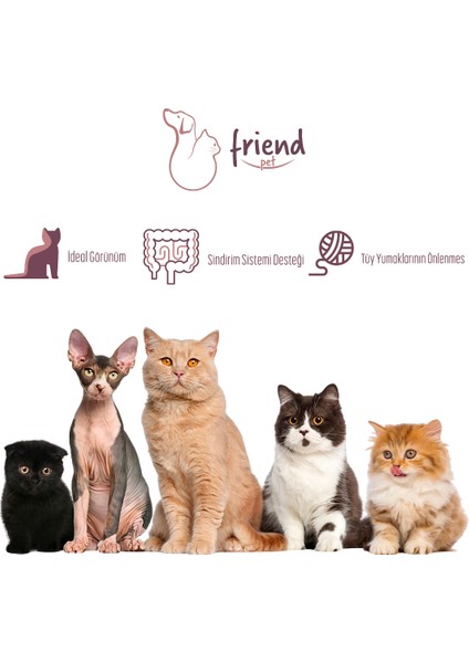 Friend Pet Premium Gold Yetişkin Kedi Maması Tavuklu 9 Kilo %100 Yeme Garantili