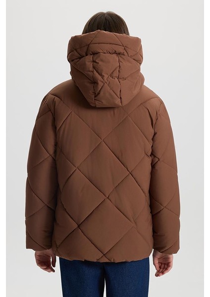 Holly Baklava Desenli Şişme Mont - Kahve fırsatları