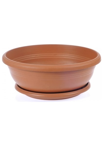 Defne Ağacı Bonsai Ekim Seti (Tohum,toprak,saksı,bitki Besini) indirimleri