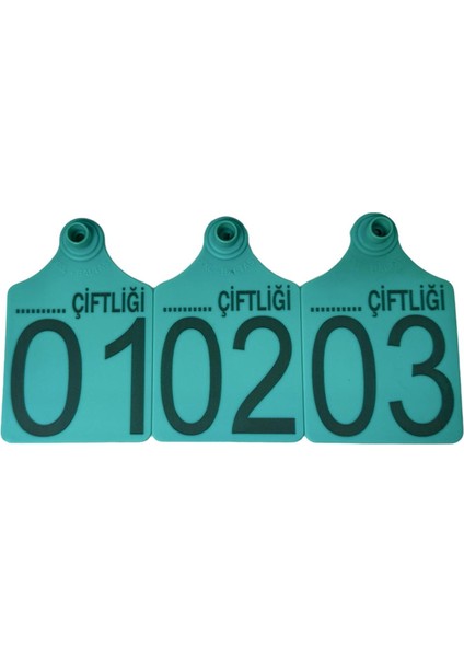 25 Adet Turkuaz Xl Büyükboy Hayvan Küpesi Pens Ucu Hediye