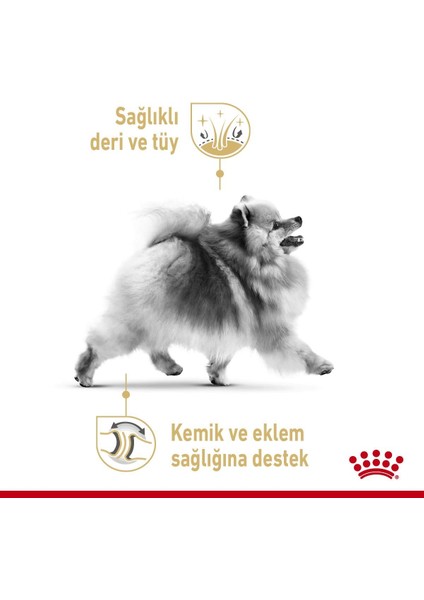 Royal Canın Bhn Pomeranın 1,5K