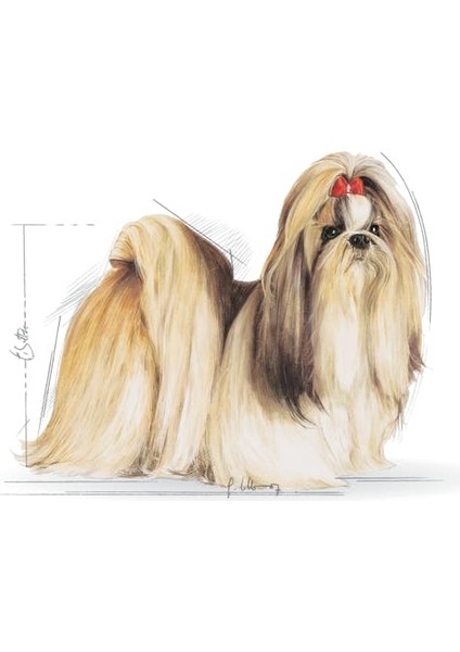 Royal Canın Shıh Tzu Adult 1,5 Kg