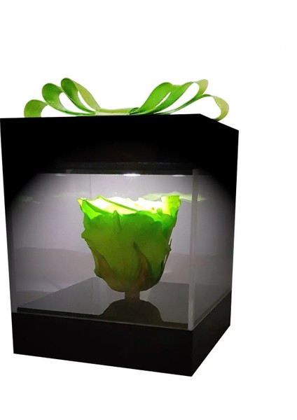 LED Işıklı Pleksi Kutuda Yeşil Solmayan Gül (Xl) & Isikli Cicek Sevgiliye Özel Hediye & Ekvator Gülü