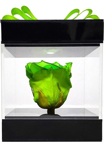 LED Işıklı Pleksi Kutuda Yeşil Solmayan Gül (Xl) & Isikli Cicek Sevgiliye Özel Hediye & Ekvator Gülü