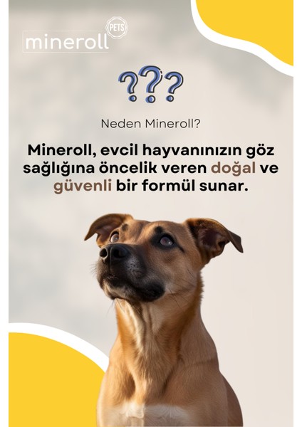 Kedi Ve Köpek Göz Temizleme Mendili, Gözy Lekesi Temizleyici, 5'Li Paket 100 Adet Mendil