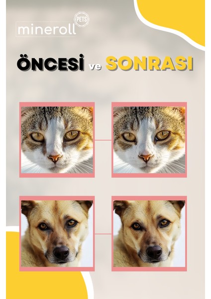 Kedi Ve Köpek Göz Temizleme Mendili, Gözy Lekesi Temizleyici, 5'Li Paket 100 Adet Mendil