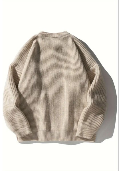 Erkek Regular Fit Bisiklet Yaka Örgülü Triko fiyatları