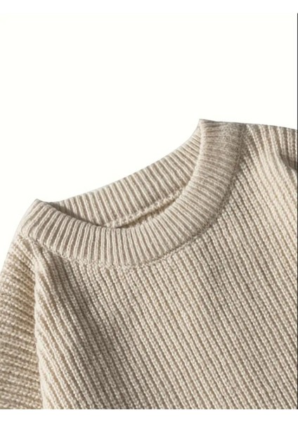 Erkek Regular Fit Bisiklet Yaka Örgülü Triko modelleri