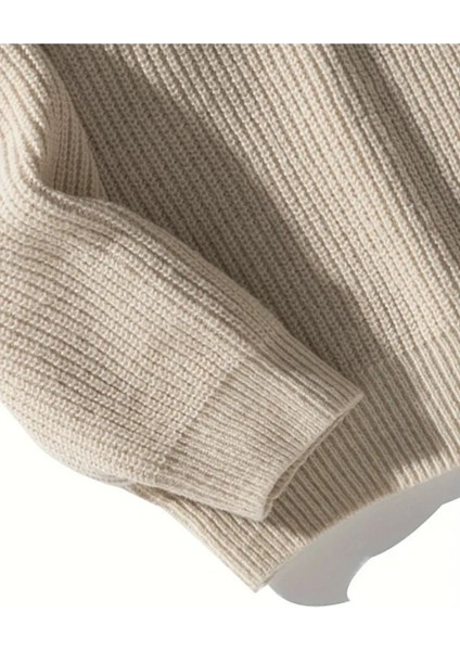 Erkek Regular Fit Bisiklet Yaka Örgülü Triko fırsatları