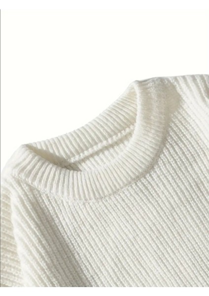 Erkek Regular Fit Bisiklet Yaka Örgülü Triko fiyatları