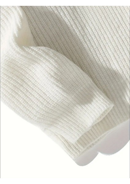 Erkek Regular Fit Bisiklet Yaka Örgülü Triko fırsatları