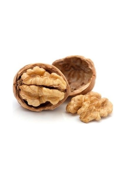 Ceviz Fidanı Kaman 5 60 cm Açık Köklü fiyatları