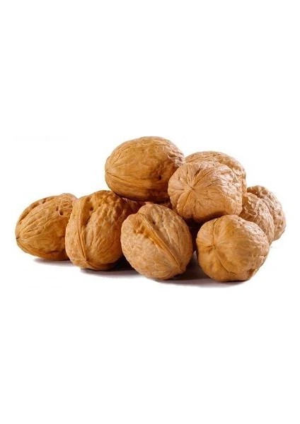 Amerikan Cevizi 8 Adet Chandler 2 Adet Franquette Paket Fidan Kampanyası modelleri