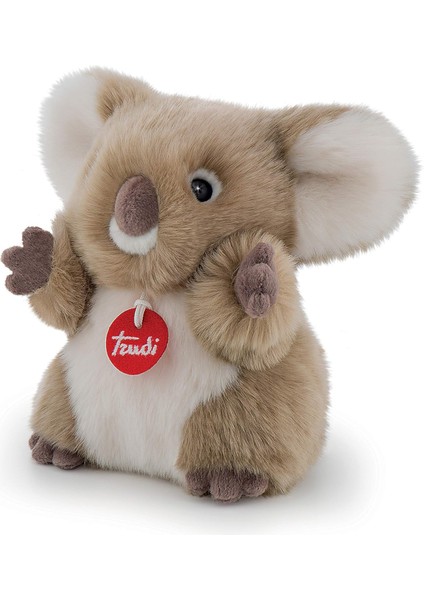 29009 - Koala, Funktionspluesch, 24 cm