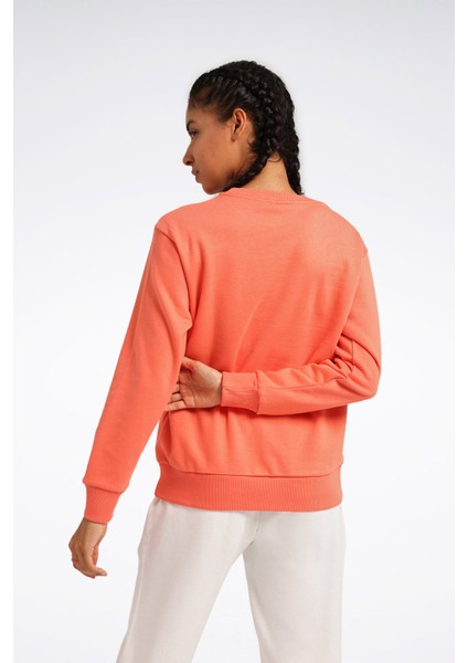 Rı Bl Fleece Crew Yavruağzı Kadın Sweatshirt fiyatları